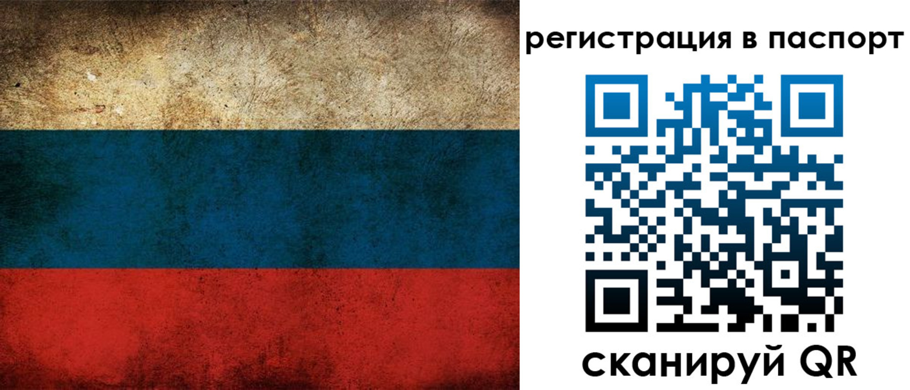 регистрация для дет. сада в Дмитрове